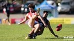Round 10 vs North Adelaide Image -575427a226fff